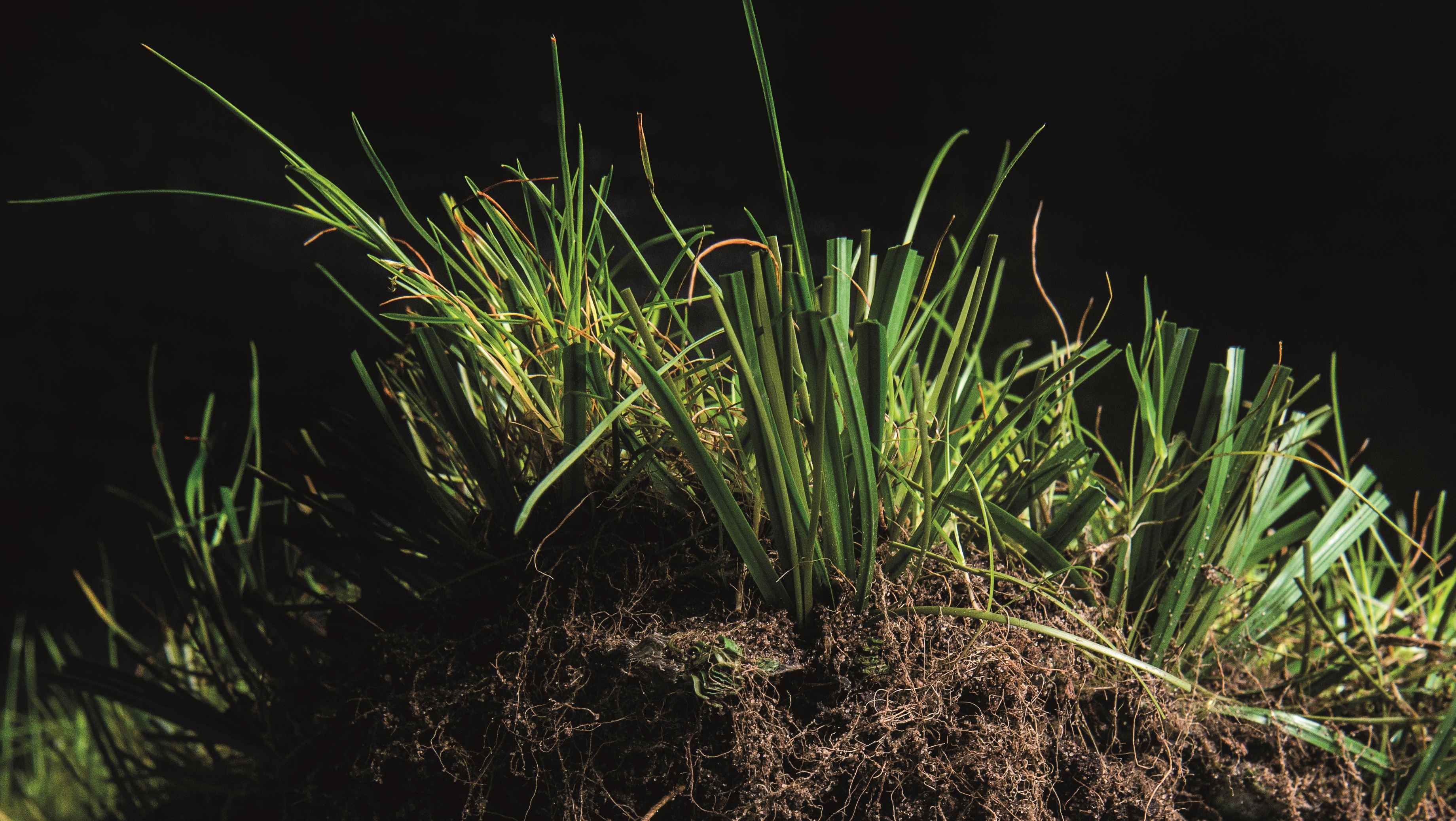 synthetic-artificial-and-hybrid-football-turf-systems-greenfields